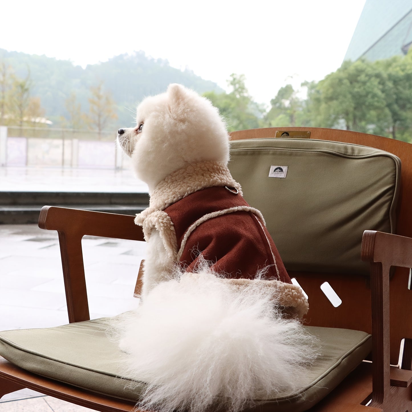Cozy Fleece-Lined Pet Hoodie with Leash Attachment - Winter Warmth for Small to Medium Dogs and Cats