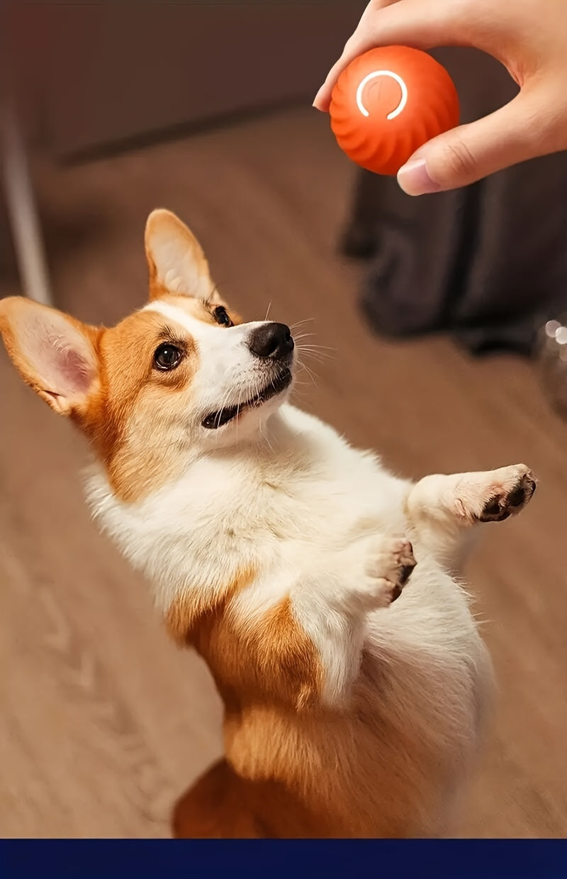 Electric Intelligent Pet Ball - Self-Rolling, Gravity Jumping Toy for Small Dogs and Cats - Electric Charging, Grinding Teeth Toy