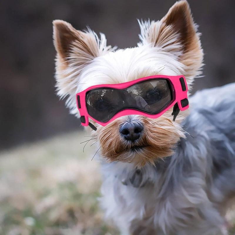 1pc Small Dog Sunglasses, UV Protection Goggles, Doggy Eye Protection, Pet Sunglasses, Arc-Shaped Outdoor Puppy Goggles, AntiFog Glasses For Pets Over 5lb