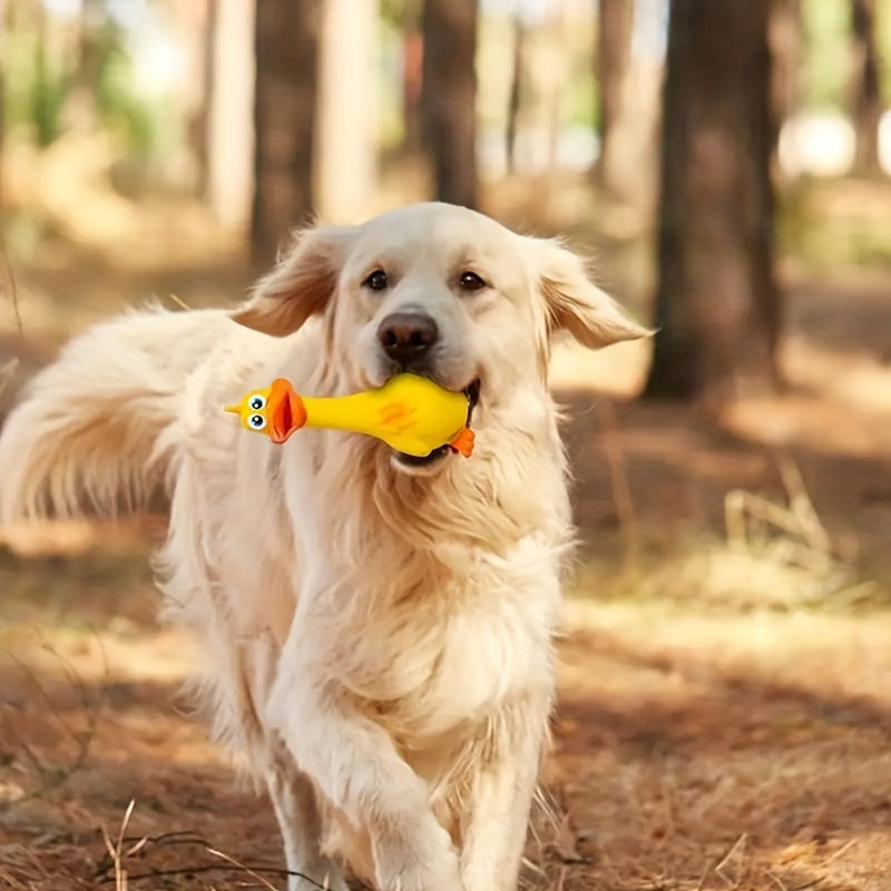 1/3pcs Pets Dog Toys Screaming Chicken Squeeze Sound Toy Rubber Duck Squeaky Chew Bite Resistant Toy Puppy Training Duck/chicken Design Dog Chew Toys, Tough Squeaky Dog Grinding Teeth Toys