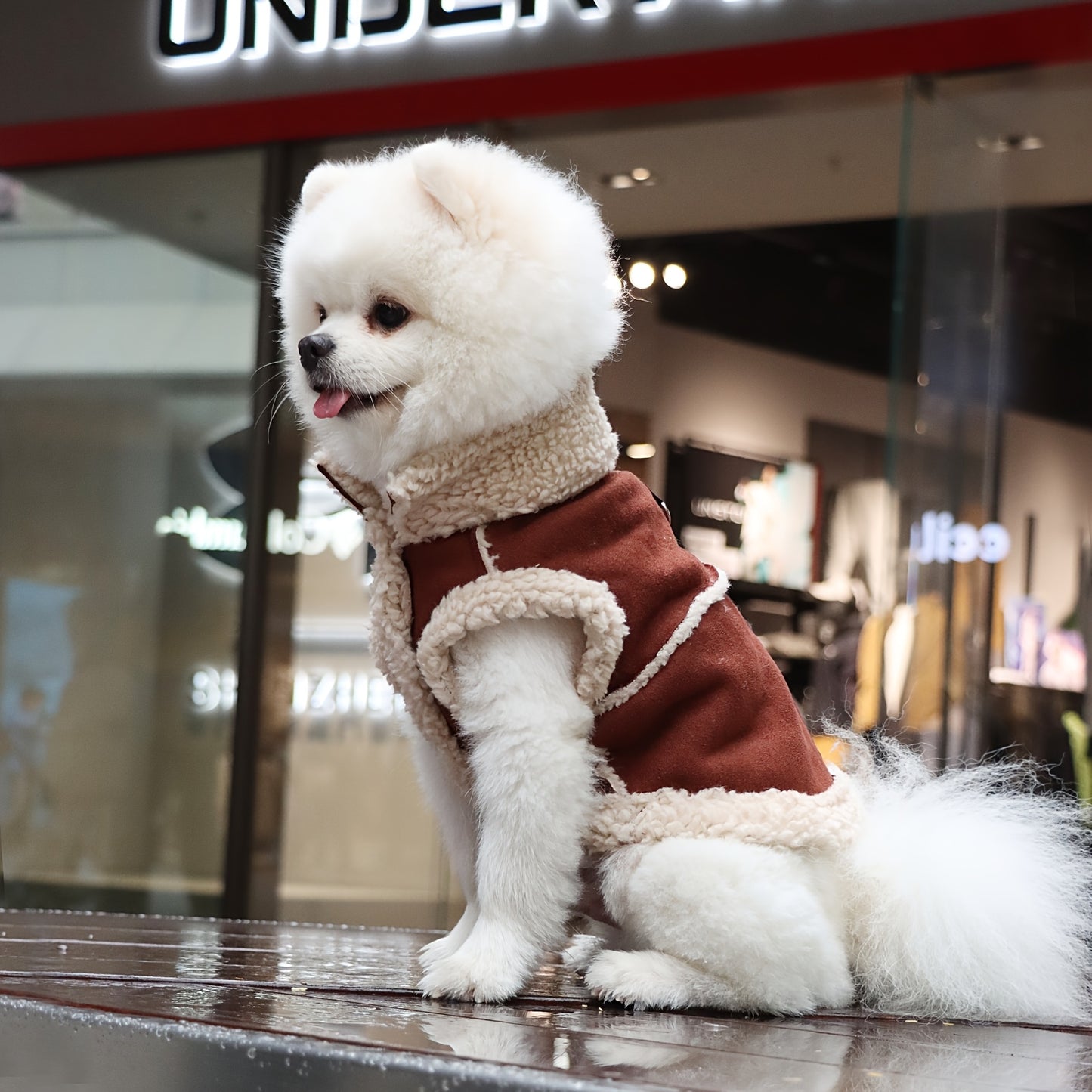 Cozy Fleece-Lined Pet Hoodie with Leash Attachment - Winter Warmth for Small to Medium Dogs and Cats