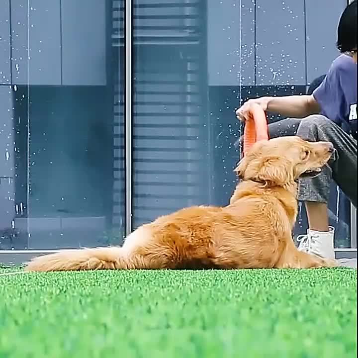 1pc Durable Dog Flying Discs - Interactive Pet Toys For Training, Pulling, And Chewing - Floats On Water