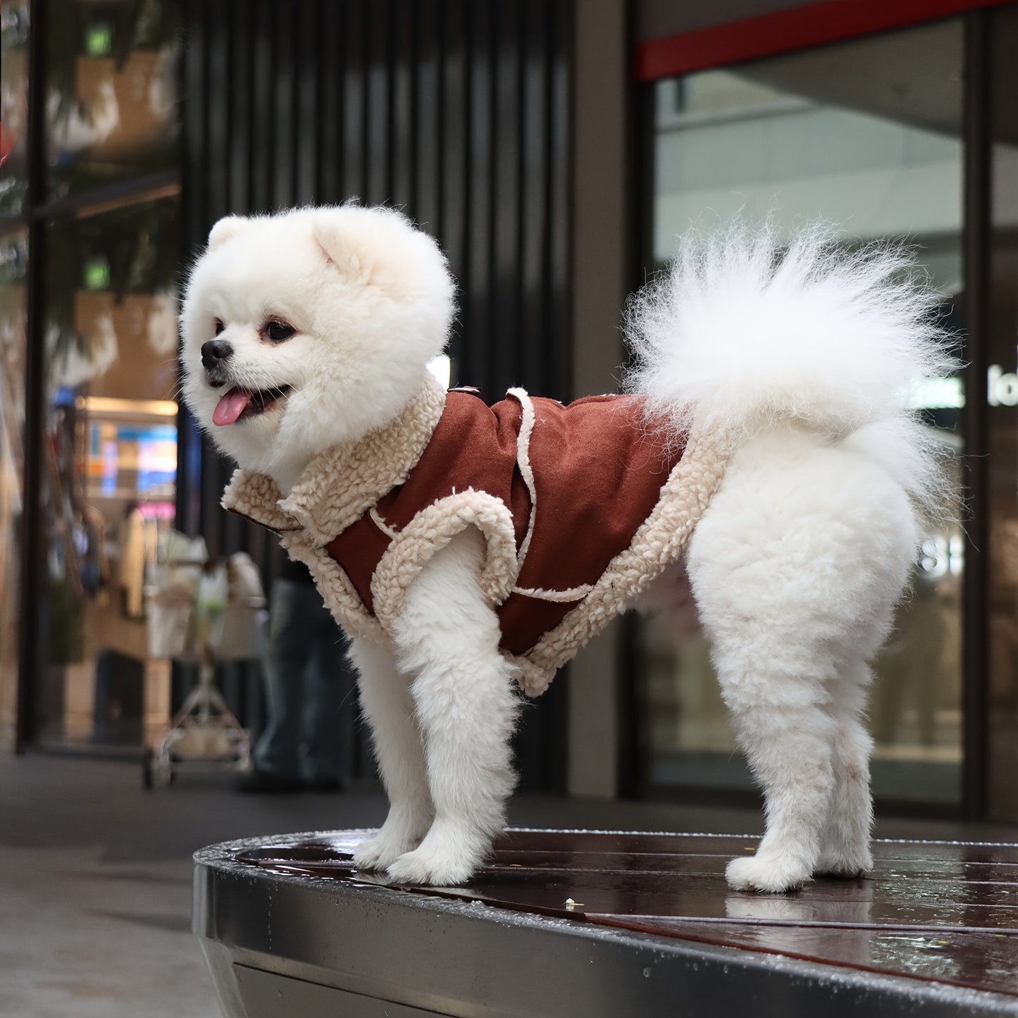 Cozy Fleece-Lined Pet Hoodie with Leash Attachment - Winter Warmth for Small to Medium Dogs and Cats