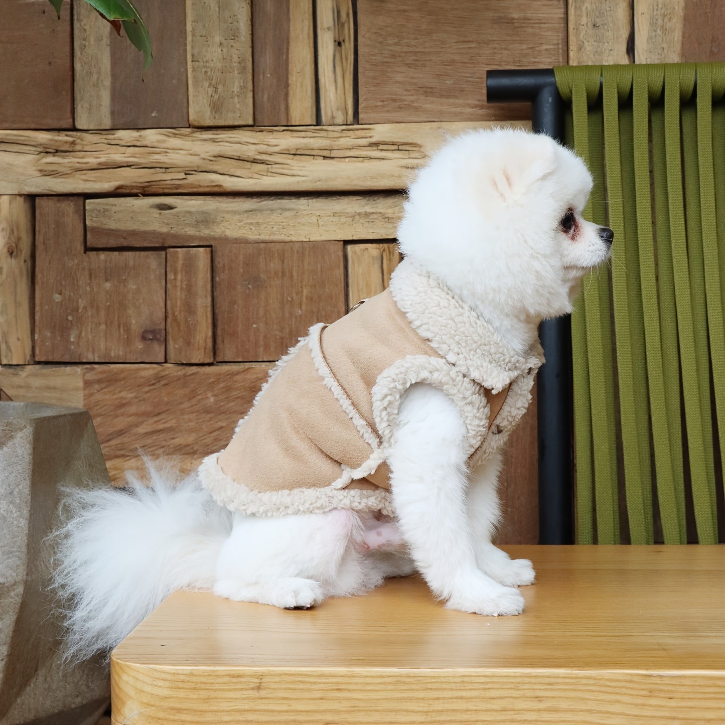 Cozy Fleece-Lined Pet Hoodie with Leash Attachment - Winter Warmth for Small to Medium Dogs and Cats