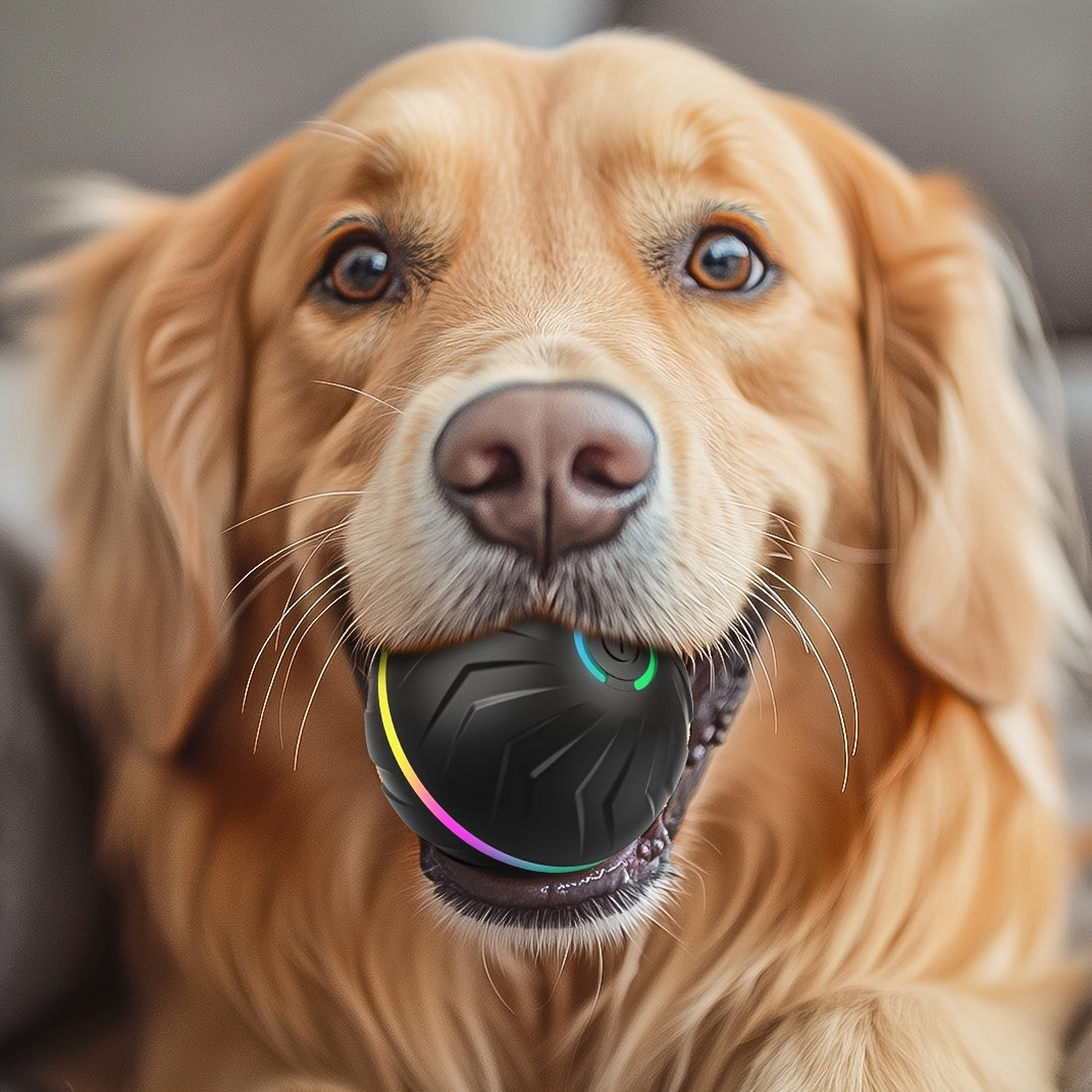 6.6cm/2.62in Large Size Pet Smart Bouncing Ball, Interactive Dog Toy, Motion-Activated Automatic Rolling Ball for Puppies/Small Dogs/Medium Dogs/Large Dogs, Interactive Dog Ball, Playful Design, Durable Pet Item, Rechargeable