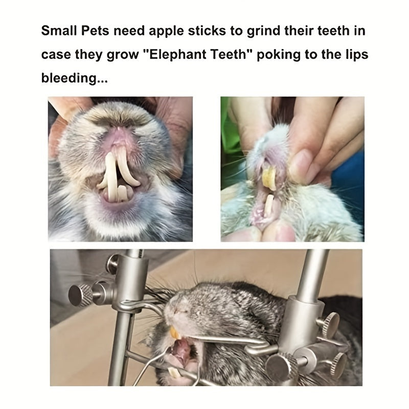 100g Natural Apple Stick Small Animal Snack Chew Toy, Suitable for Small Pets Rabbits, Hamsters, Gerbils, Manx Cats, Squirrels, Rabbits, Healthy Grinding Teeth Toys