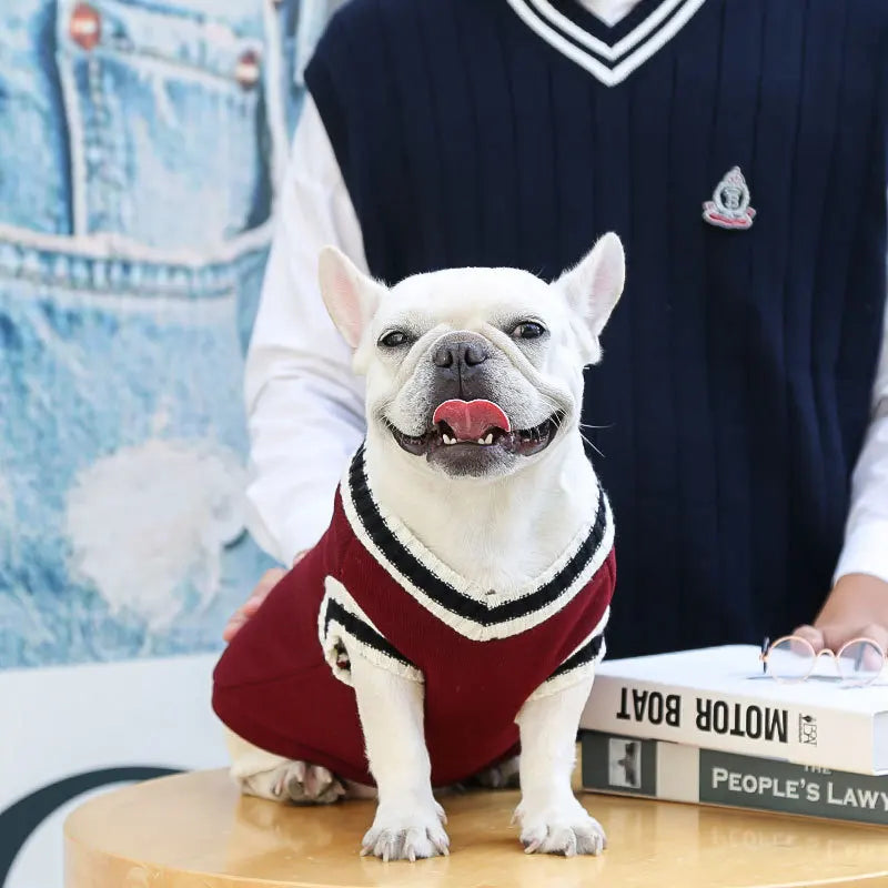 Autumn and winter new knitted vest V-neck college style pet dog cat clothes vest Teddy Bo Beauty products