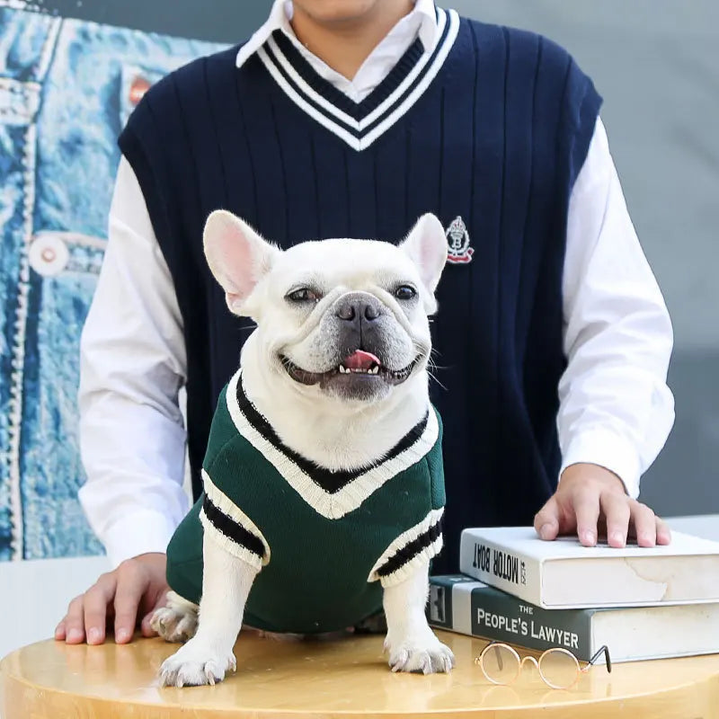 Autumn and winter new knitted vest V-neck college style pet dog cat clothes vest Teddy Bo Beauty products