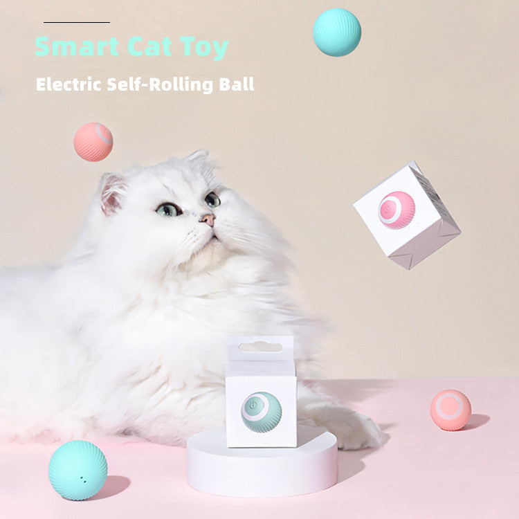 Pelota eléctrica para gatos, juguete inteligente con ruedas automáticas, interactivo para entrenar, juguete para jugar en interiores.