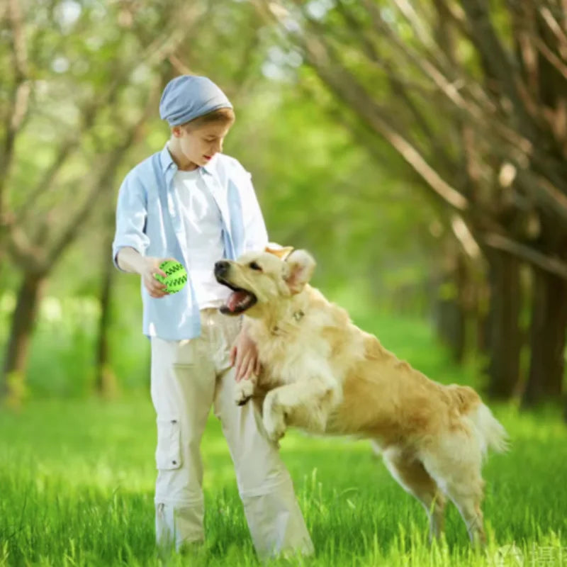 Pelota de juguete para perros, pelotas de goma interactivas, juguetes para masticar para cachorros, pelota para limpiar dientes de mascotas, comedero para gatos, pelotas de silicona para comer.