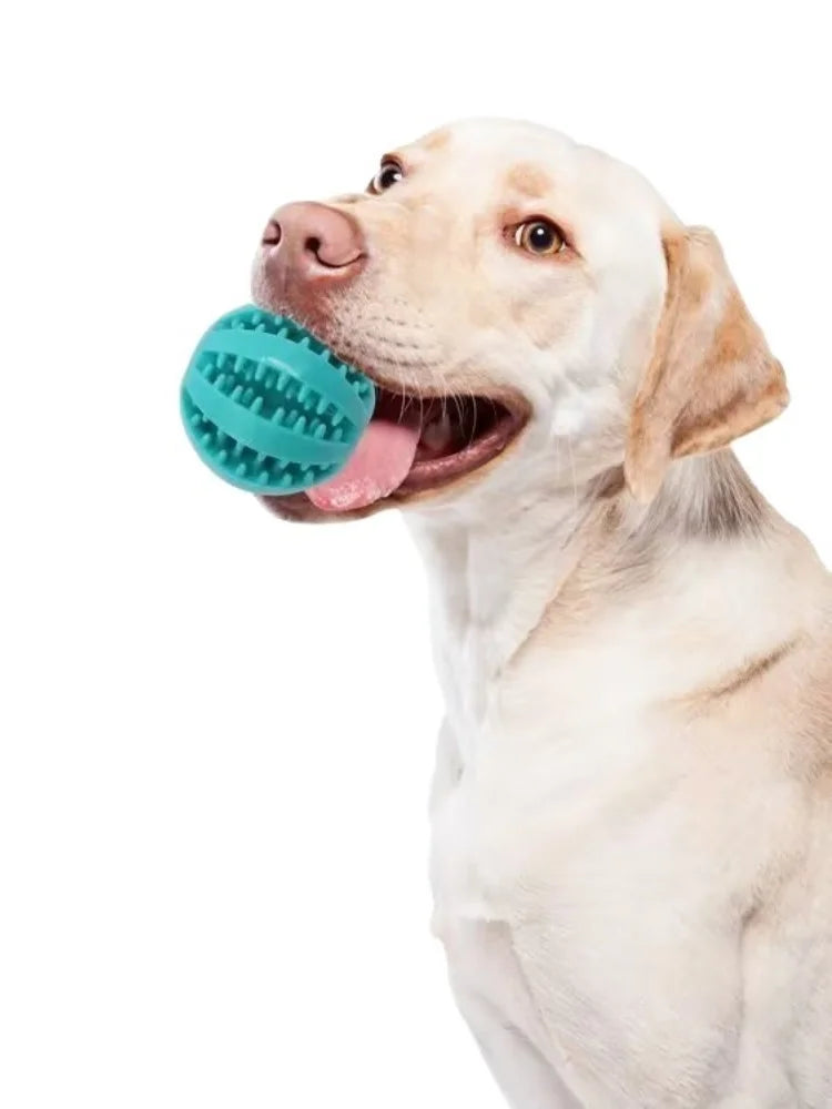 Pelota de juguete para perros, pelotas de goma interactivas, juguetes para masticar para cachorros, pelota para limpiar dientes de mascotas, comedero para gatos, pelotas de silicona para comer.
