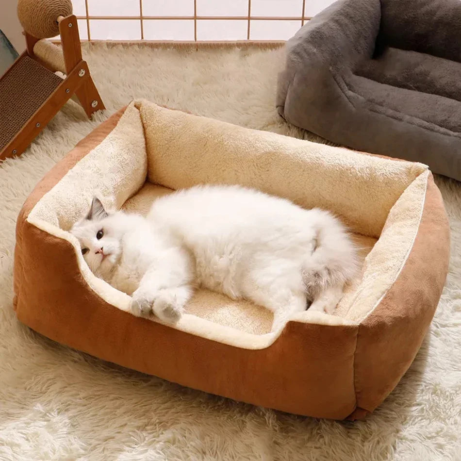 Camas para gatos Productos para mascotas Cojines Artículos para gatitos Accesorios Perro Todas las casas Suministros Cosas Accesorios Hábitats Cesta Casa Camas