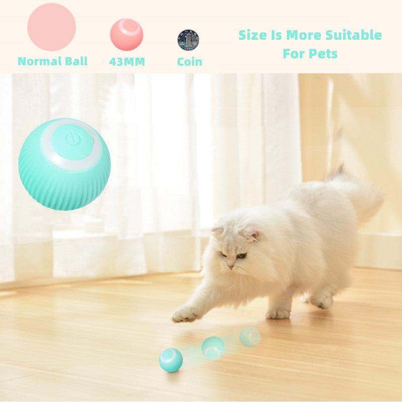 Pelota eléctrica para gatos, juguete inteligente con ruedas automáticas, interactivo para entrenar, juguete para jugar en interiores.