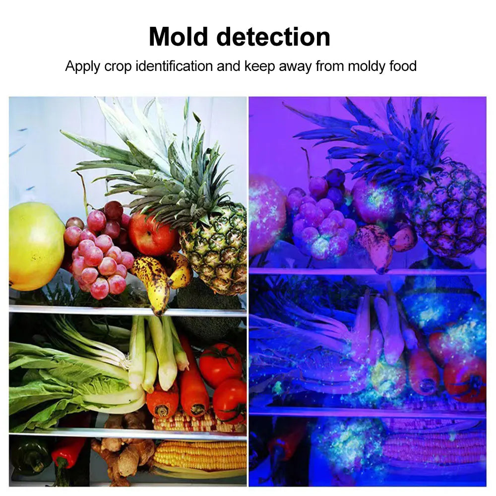 120W 6 * 4 core 365nm UV Flashlight Black Mirror 2-Mode Purple Light UV lamp Torch Pet Urine Stains bed bug Scorpions Detector