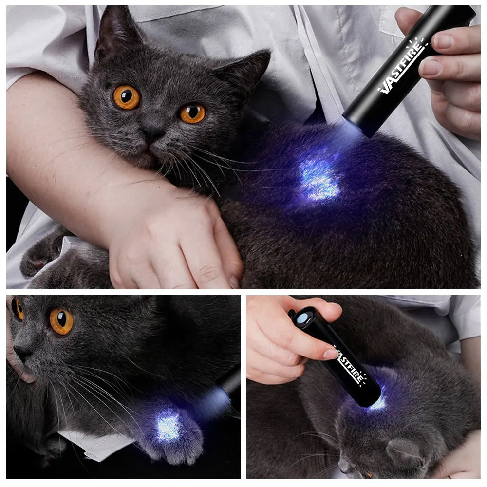 120W 6 * 4 core 365nm UV Flashlight Black Mirror 2-Mode Purple Light UV lamp Torch Pet Urine Stains bed bug Scorpions Detector