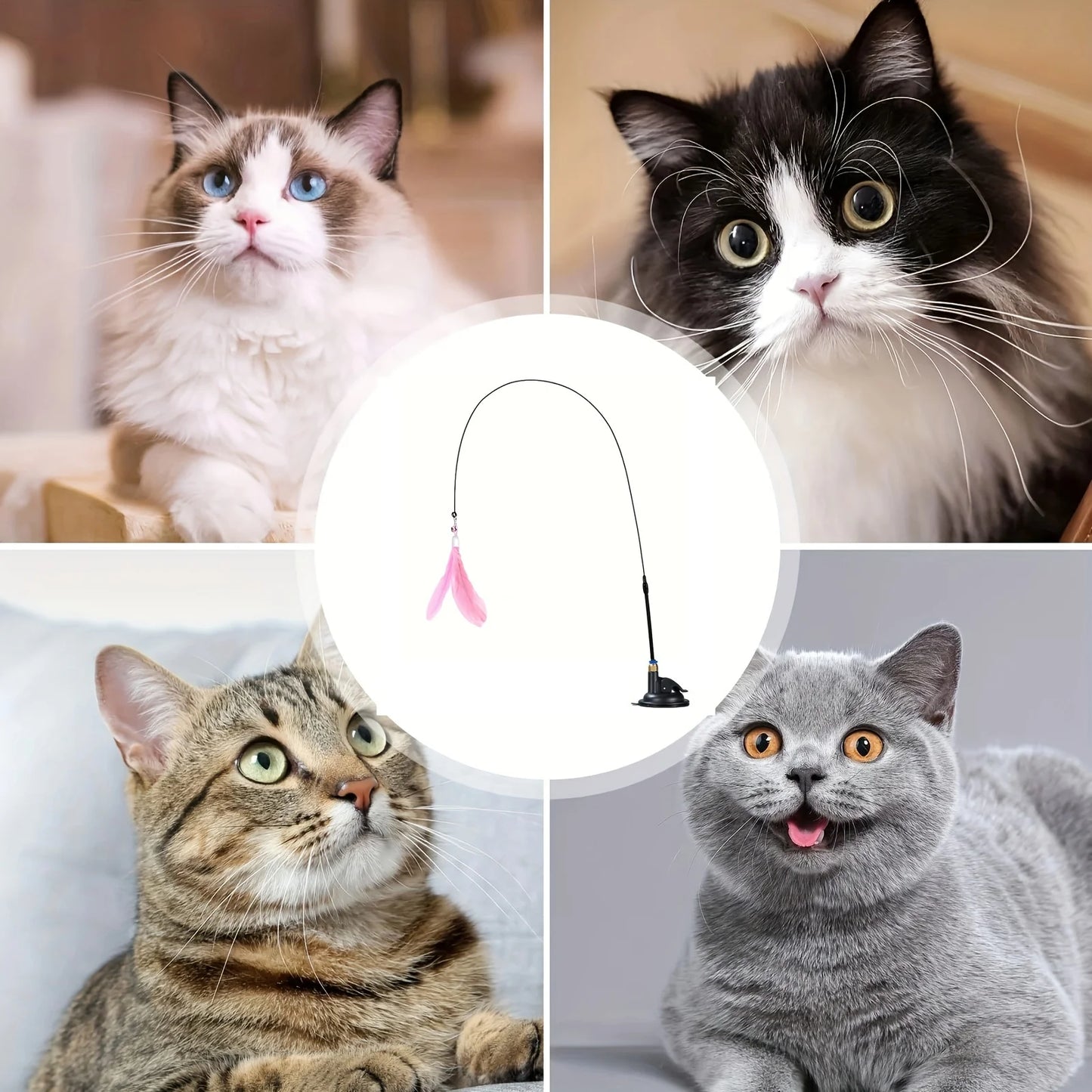 Juguete interactivo para gatos con campana y plumas, con ventosa larga para emocionantes aventuras de juego. El mejor juguete para gatos.