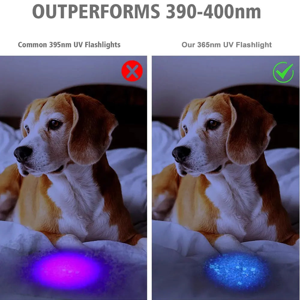 120W 6 * 4 core 365nm UV Flashlight Black Mirror 2-Mode Purple Light UV lamp Torch Pet Urine Stains bed bug Scorpions Detector