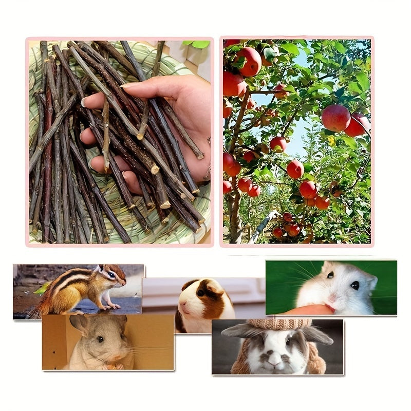 100g Natural Apple Stick Small Animal Snack Chew Toy, Suitable for Small Pets Rabbits, Hamsters, Gerbils, Manx Cats, Squirrels, Rabbits, Healthy Grinding Teeth Toys