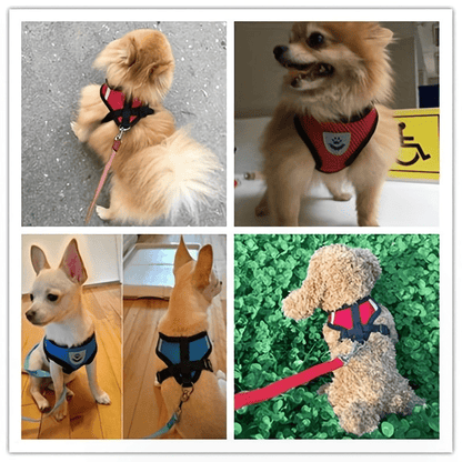 [For Dogs & Cats Reflective Harness] Reflective Pet Harness And Leash Set For Dogs And Cats, Adjustable Puppy Cat Vest Harness With Soft Mesh