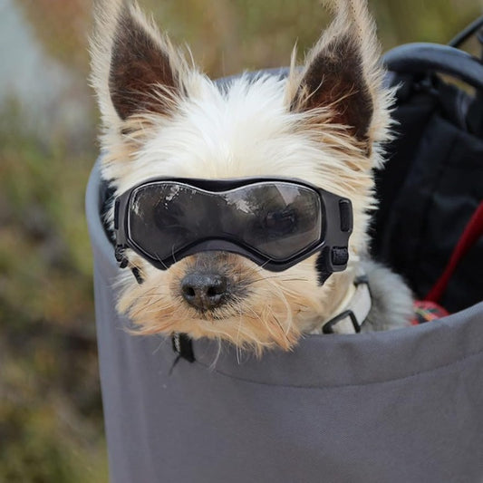 1pc Small Dog Sunglasses, UV Protection Goggles, Doggy Eye Protection, Pet Sunglasses, Arc-Shaped Outdoor Puppy Goggles, AntiFog Glasses For Pets Over 5lb