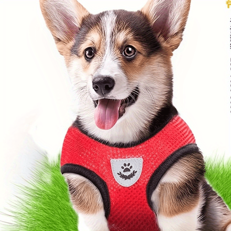 [For Dogs & Cats Reflective Harness] Reflective Pet Harness And Leash Set For Dogs And Cats, Adjustable Puppy Cat Vest Harness With Soft Mesh