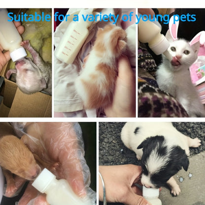 1pc 60ml Pet Milk Feeding Bottle - Soft, Small Nipples for Easy Feeding, Measurement Scale for Accurate Feeding, Essential Pet Nursing Supplies for Kittens and Small Pets