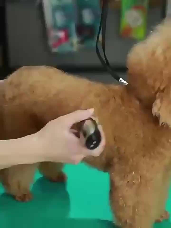 Rechargeable Low-Noise Cordless Electric Pet Clipper for Grooming Dogs and Cats, Suitable for Various Sizes and Lengths of Pet Hair, Professional Pet Salon Use