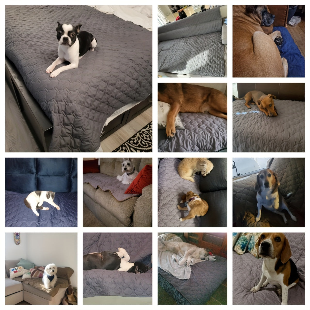 [Waterproof Dog Bed Cover Protector] Double-Sided Waterproof Dog Bed Cover Pet Blanket Sofa Couch Furniture Protector For Dogs