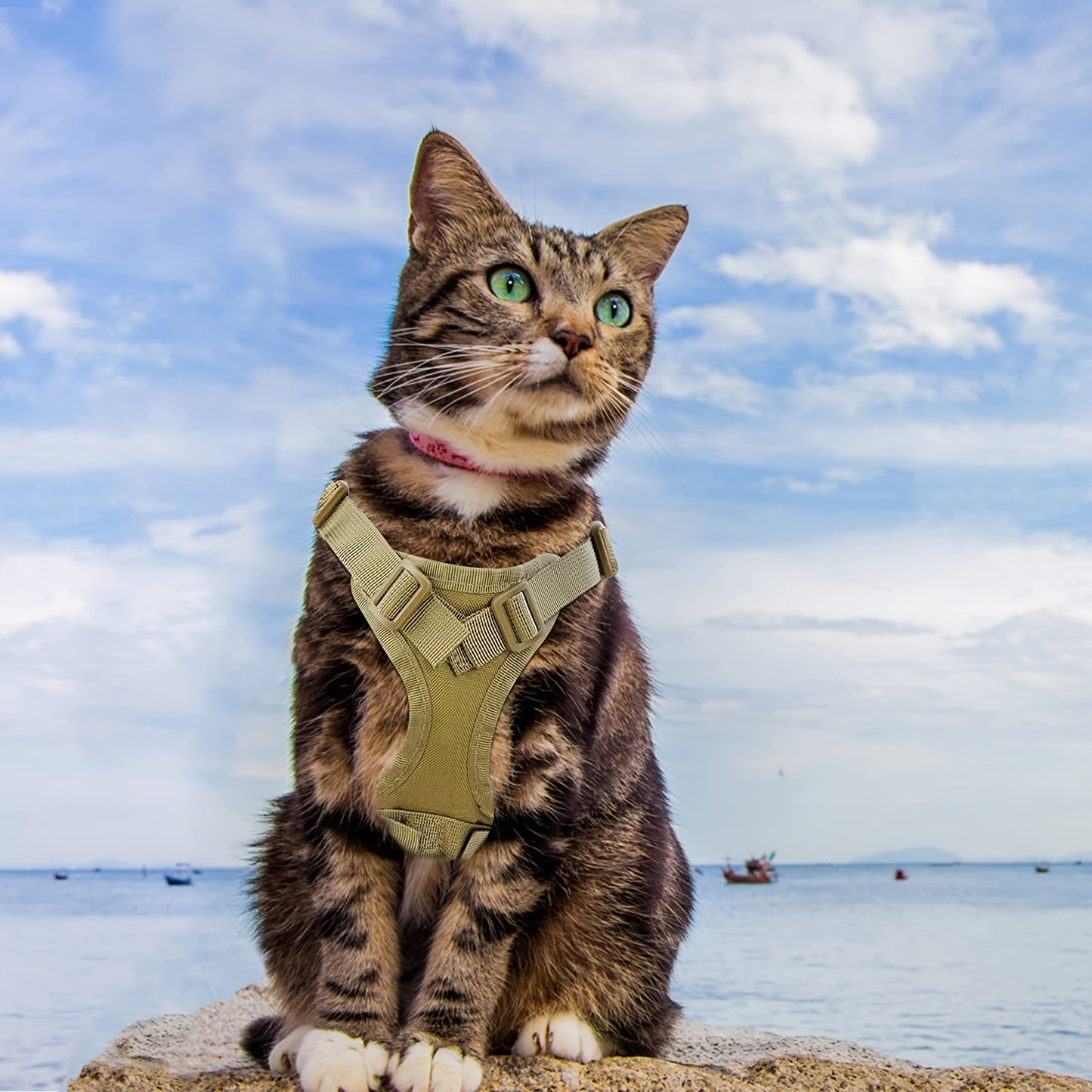 [Durable Cat Vest] Durable 600D Nylon Tactical Cat Vest with Adjustable Straps & Red Cross Patch | Chest Harness for Small Dogs & Cats, Secure Leash Attachment, Ergonomic Design for Training & Outdoor Adventures, Cat Vest Har
