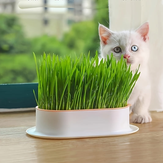 [Hydroponic Cat Grass] 1pc Hydroponic Cat Grass Growing Pot | Plastic Pet Bowl, Without Seeds