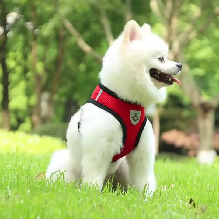 [For Dogs & Cats Reflective Harness] Reflective Pet Harness And Leash Set For Dogs And Cats, Adjustable Puppy Cat Vest Harness With Soft Mesh